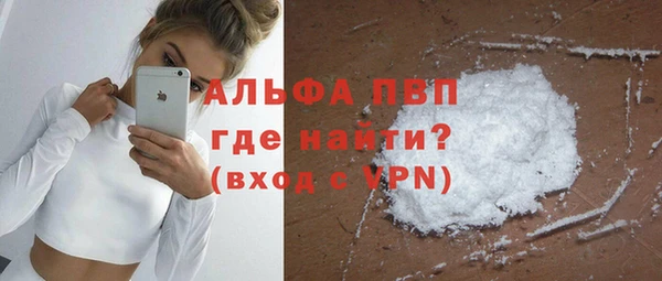 PSILOCYBIN Богородицк