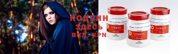 хмурый Белокуриха