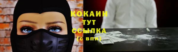 хмурый Белокуриха