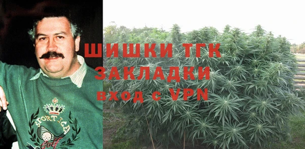 хмурый Белокуриха