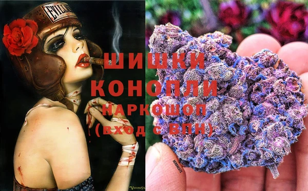 хмурый Белокуриха