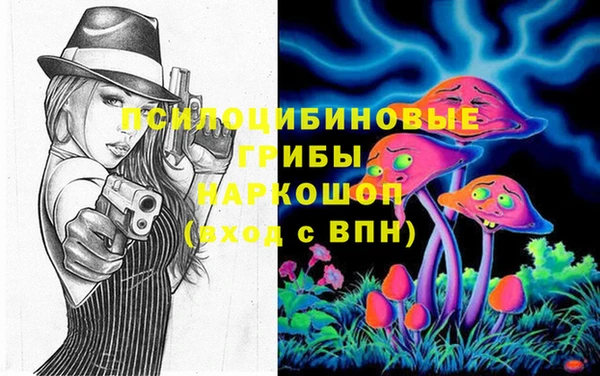 хмурый Белокуриха