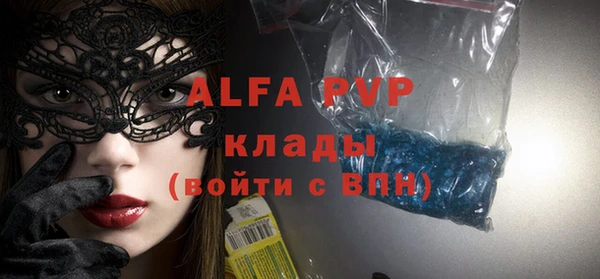 хмурый Белокуриха